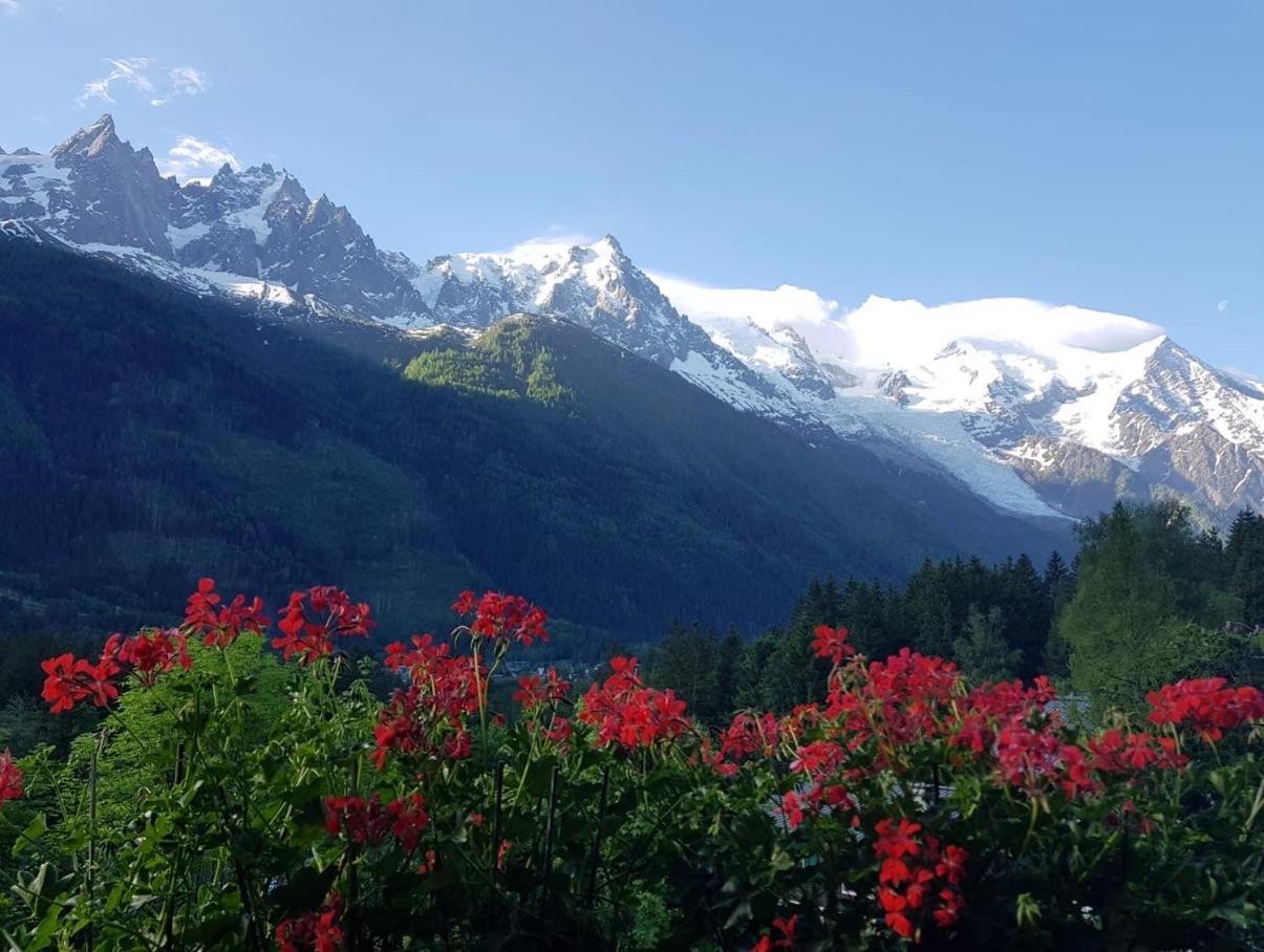 Edelweiss Yoga Chalet * Chamonix Mont Blanc